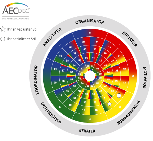 Das AECdisc® Rad zeigt Ihre Position und Typ in der Welt der Persönlichkeitsdiagnostik