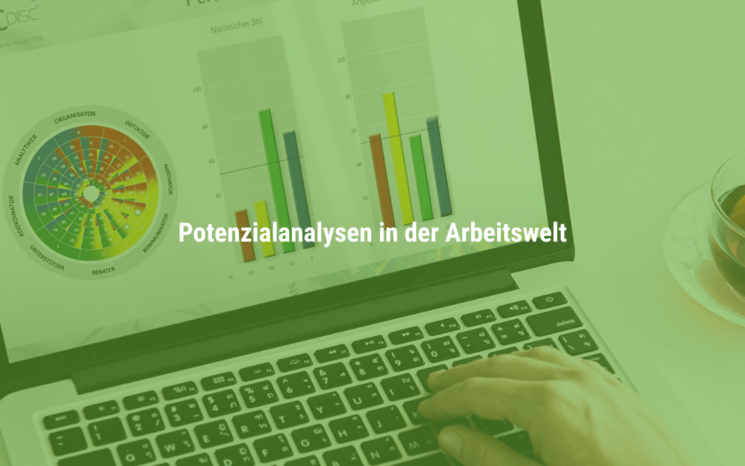 Die Relevanz von Potenzialanalysen in der Arbeitswelt