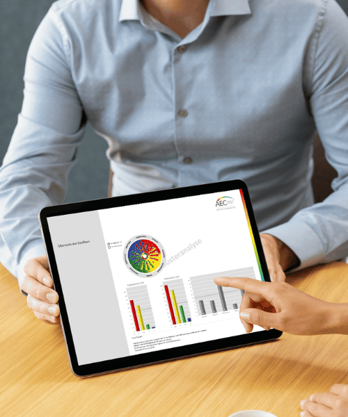 disg-report AECdisc® Report auf einem Tablet dargestellt und von einem Berater besprochen